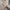 Women's Slim-fit Cardigan Wool Dress