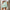 Ruffled Skirt Women's High Waist