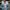 3D Digital Printing Cardigan Knitted Coat Imitation Sweaters Women's Clothing
