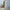 Cotton And Linen Loose Half Sleeve Contrast Paneled Dress