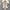 Elastic Tight-fitting Knitted Buttock Dress