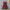Girls' Bohemian Suspender Dress Children's Clothing