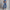 High Waist Zipper Denim Loose Harem Pants