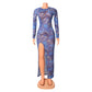 Sheer Long Sleeve Women's Dress