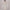 Small Group Temperament Patchwork Lace High Waisted Dress