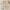 Suspender Top Solid Color Shorts Girls' Summer Two-piece Suit