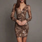 Leopard Print V Neck Mesh Panel Long Sleeve Waist Cinching Pleated Dress