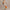 Off-the-shoulder Loose-fit Intricately Pleated Maxi Dress For Women