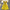 Bubblesleeve Squareneck Waistcinching Dress