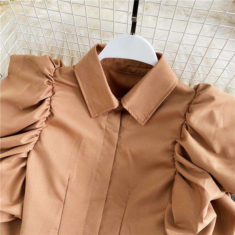 Elegant Retro  Style Puff Sleeve Top