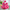 Rose Red Butterfly Sequined Long Sleeve Princess Children's Birthday Party Dress