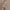 Off-neck Halterneck Long-sleeved Knitted Sweater Hip Skirt Women's Fashion