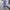 Women's Printing Color Contrast Temperament Long Sleeve Dress