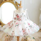 Girls' Baby Summer Children Host Princess Dress