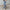 Women's American Retro Hole-punched Jeans Women High Waist Straight-crotch Loose Slim Design High-street Vibe Wide-legged Dragging Pants
