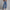 High Waist Zipper Denim Loose Harem Pants