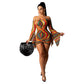 Long Sleeve Flared Sleeves Dress