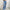 High Waisted Straight Leg Jeans For Women Trendy Butterfly Print Ripped Distressed Denim Pants