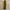 Womens Pleated Ribbon Crew-Neck Long-Sleeve Dress