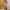 Stylish And Minimalist Womens Long Sleeve Wide Leg Jumpsuit