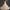 Bride Summer Tube Top Mori Style Trailing Skirt