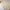 Women's Summer High-waisted Vintage Professional Skirt