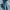 Autumn And Winter Rebound Slimming High Waist Drain Pants