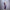 Fashion Backless Off-shoulder Tube Top Mesh Sequins Tight Purple Mini Dress