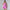 Arrival Women's Fashionable Casual Jumpsuit With V-Neck