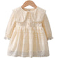Girls' Lace Long Sleeve Princess Dress