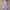 Long Dress Sweater Bead Long Sleeve Sheath