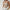 Adjustable Back Shoulder Strap Sleeveless Hollow Backless Sequin Sling