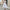Fashionable Minimalist And Slim Fit Womens Dress