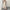 Womens Embroidered Halterneck Backless Split Dress
