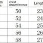 Boy's Back Letter Coconut Pattern T-shirt Shorts Set