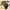 Solid Color Long-sleeved Top Camouflage Printed Trousers Three-piece Suit