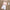 3-piece Cross-border European And American Children's Clothing