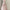 Light Luxury Annual Meeting Engagement Dress Bra
