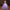 Bel Canto Solo Performance Costume Host Evening Dress