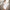 Pure Design Long Sleeve V-neck Waist-controlled Slimming Hip Skirt