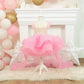 Fairy Mori Style Small Trailing Host Model Catwalk Runway Children's Dress