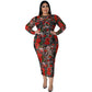Round-neck Stretchy See-through Sheath Dress With A Printed Design