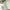 Girls' Sling Green Dress Summer