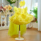 Host Catwalk Birthday Banquet Piano Performance Costume