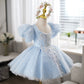 Light Blue French Style Puff Sleeve Princess Dress
