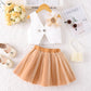 Mesh Princess Dress Two-piece Set