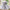 Light Luxury Minority High-end Girls' Birthday Banquet Ten-year-old Princess Dress Western Style