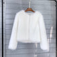 Manteau court uni pour femme, automne et hiver