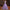 Bel Canto Solo Performance Costume Host Evening Dress