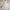 Polyester Satin Young And Little Girls Princess Dress